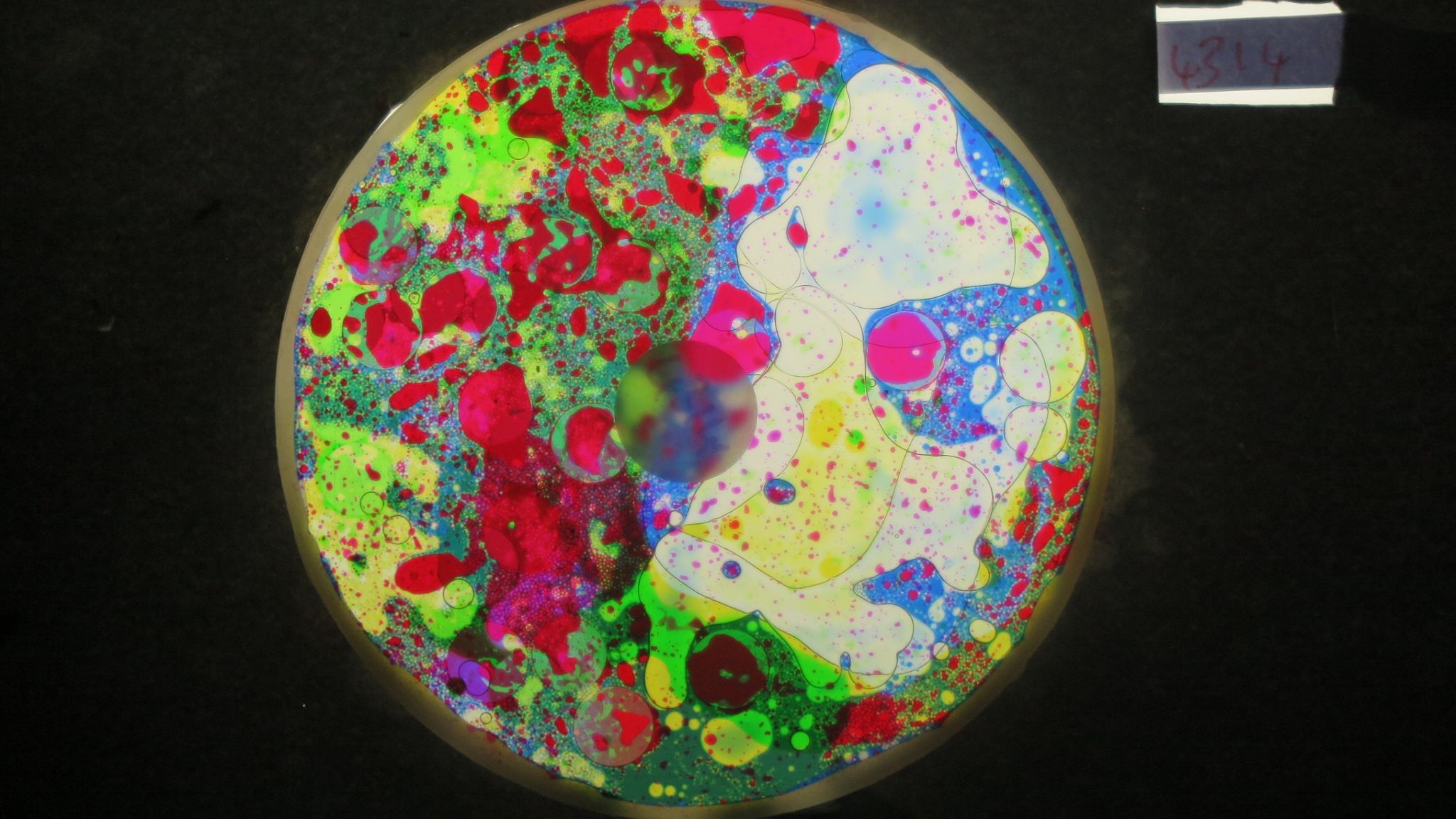 BV4314 bubble vision oil wheel